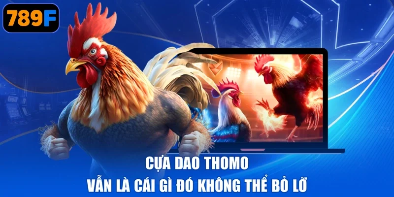 Cựa dao Thomo vẫn là cái gì đó không thể bỏ lỡ