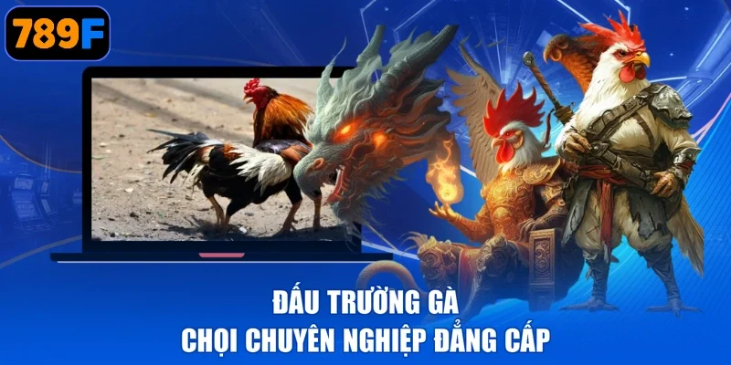 Đấu trường gà chọi chuyên nghiệp đẳng cấp