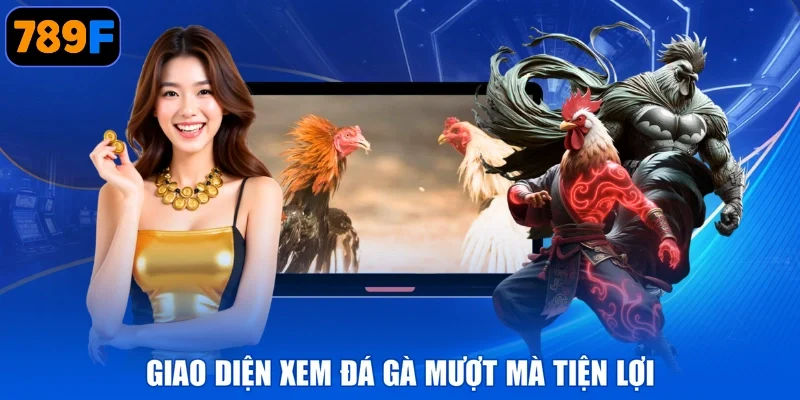 Giao diện xem đá gà mượt mà tiện lợi